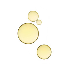 Payot Herbier Huile de Beaute Bio Herbier Huile de Beaute Bio