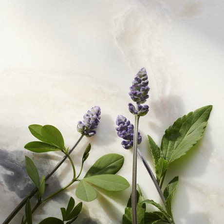 Rituals Glow Anti-Ageing Serum Refill Сменный блок антивозрастной сыворотки Glow