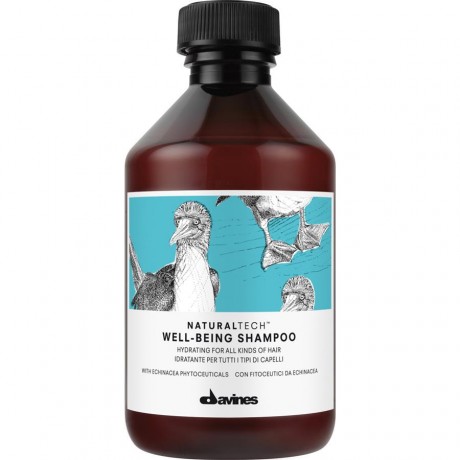 Davines (Давинес) Naturaltech Well-Being Shampoo Шампунь увлажняющий, 1000 мл