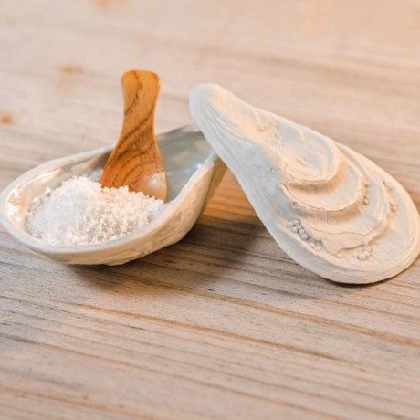 Rosenthal Rosenthal Papes Salz Auster Austerndose Weiss matt - Perlmutt Set 3-tlg. Rosenthal Papes salt oyster oyster box белый матовый - перламутр набор 3 предм.