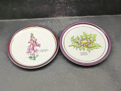 Набор декоративных винтажных тарелок Plantorgan с ботаническом декором &quot;Carlina Acaulis, Digitalis Purperea&quot;, в стиле майолика, 3 шт., кракелюр, фарфор, 11 см, Германия, 1960-70гг.