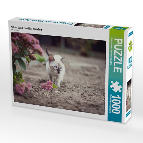 CALVENDO Puzzle CALVENDO Puzzle Kitten das erste Mal draussen Пазл CALVENDO Puzzle Kitten впервые на улице