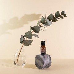 Booming Bob Essential Oil Eucalyptus  Эфирное масло эвкалипта