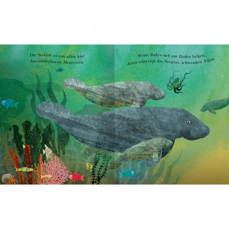 arsEdition Verlag Meer море