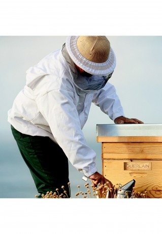 GUERLAIN GUERLAIN ABEILLE ROYALE ADVANCED DOUBLE R RENEW & REPAIR SERUM Serum transparent GUERLAIN ABEILLE ROYALE ADVANCED DOUBLE R ОБНОВЛЯЮЩАЯ И ВОССТАНАВЛИВАЮЩАЯ СЫВОРОТКА