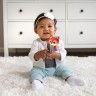 Vtech Babyrassel Fuchs Детеныш погремушки лиса