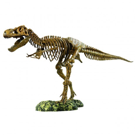 Edu-Toys XL Tyrannosaurus Rex Skelett 91cm T-Rex XL Tyrannosaurus Rex Скелет 91 см T-Rex