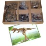 Edu-Toys XL Tyrannosaurus Rex Skelett 91cm T-Rex XL Tyrannosaurus Rex Скелет 91 см T-Rex