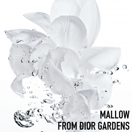 DIOR FRESH SORBET CREME FEUCHTIGKEITSCREME  FRESH SORBET CREME УВЛАЖНЯЮЩИЙ КРЕМ