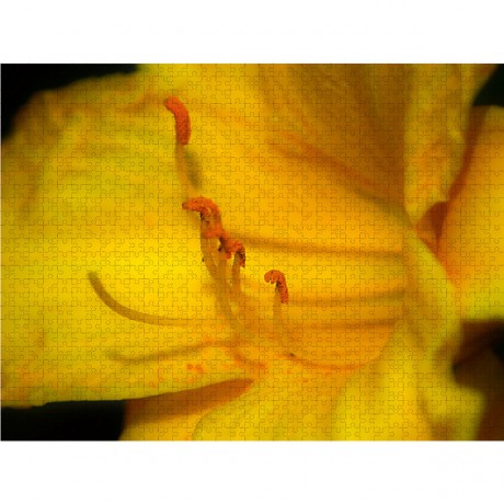 CALVENDO Puzzle CALVENDO Puzzle Lis Butter Pixie Пазл CALVENDO Puzzle Li&#39;s Butter Pixie