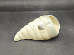 Кашпо для цветов винтажное Tairnbacher в форме ракушки, настенное, майолика, керамика, 15 х 7 см, Германия, 1970-80гг.