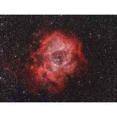 CALVENDO Puzzle CALVENDO Puzzle Rosettennebel \/ NGC2237 Пазл CALVENDO Puzzle Rosette Nebula / NGC2237