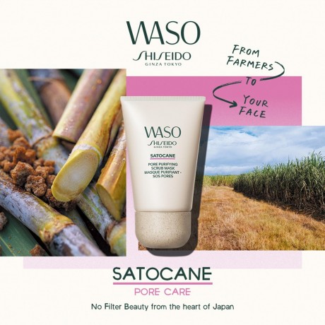 Shiseido Satocane Pore Purifying Scrub Mask  Satocane Маска-скраб для очищения пор