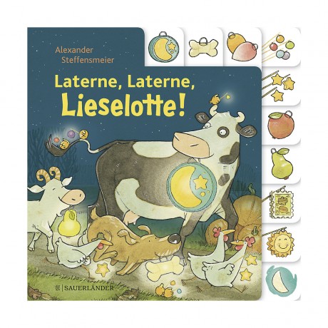Sauerlander Verlag Laterne фонарь
