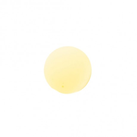 Charlemagne Premium Bartol Lombardian Revenge  Бартол ломбардская месть