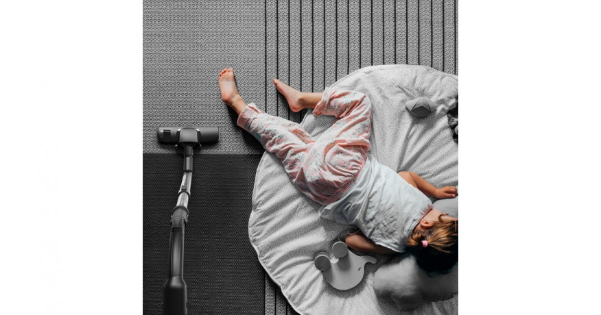 Rowenta Rowenta Green Force Max Silence RO6136, Bodenstaubsauger    Rowenta Green Force Max Silence RO6136, пылесос с контейнером