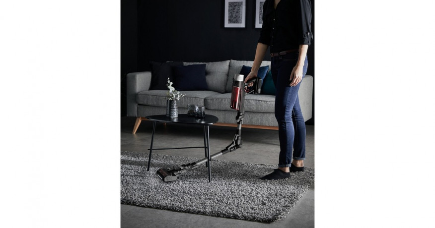 Rowenta Rowenta X-Force Flex 9.60 Animal RH2078, Stielstaubsauger schwarz/rot  schwarz/rot Rowenta X-Force Flex 9.60 Animal RH2078, пылесос черный/красный