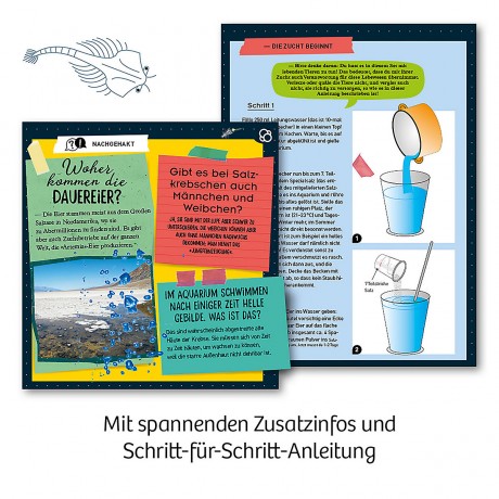 Kosmos Urzeit-Krebse первобытные крабы