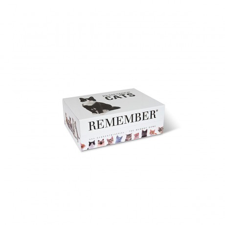 Remember Gedachtnisspiel 44 Cats in der Magnetbox