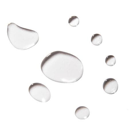 ERBORIAN Eau Ginseng женьшень