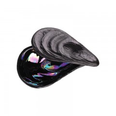 Rosenthal Rosenthal Papes Salz Auster Austerndose Schwarz matt - Perlmutt 10x6 cm / h: 3,5 cm Коробка для устриц Rosenthal Papes salt oyster черный матовый - перламутр 10x6 см / высота: 3,5 см