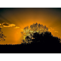 CALVENDO Puzzle CALVENDO Puzzle Strahlenkranz Пазл CALVENDO Пазл венок